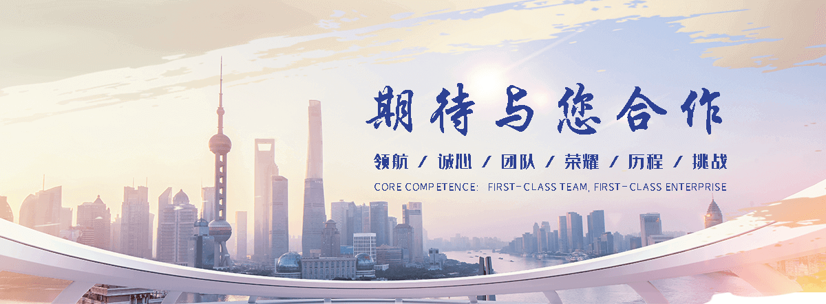 武邑网站S.E.O排名